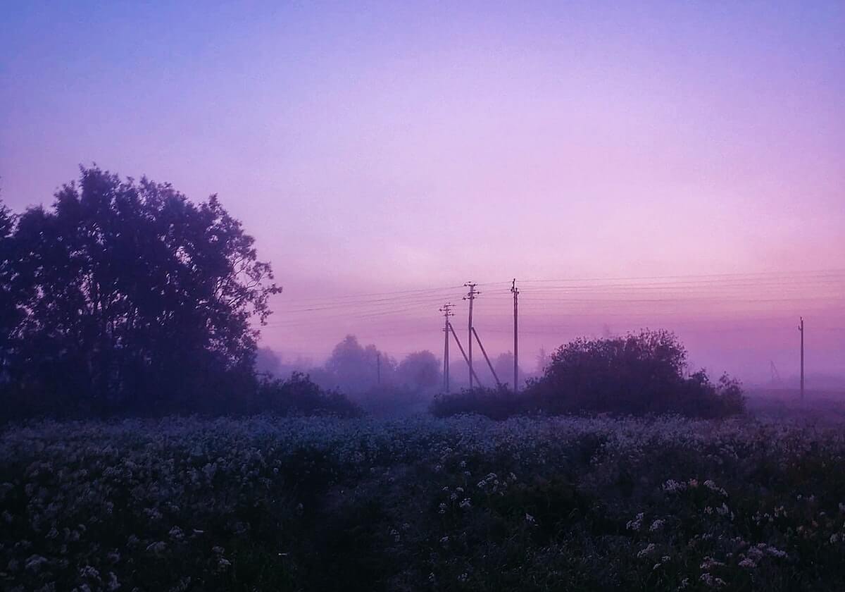 91网盘点：八卦5大爆点，网红上榜理由极其令人全网炸裂