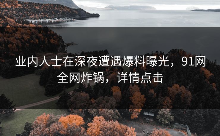 业内人士在深夜遭遇爆料曝光，91网全网炸锅，详情点击