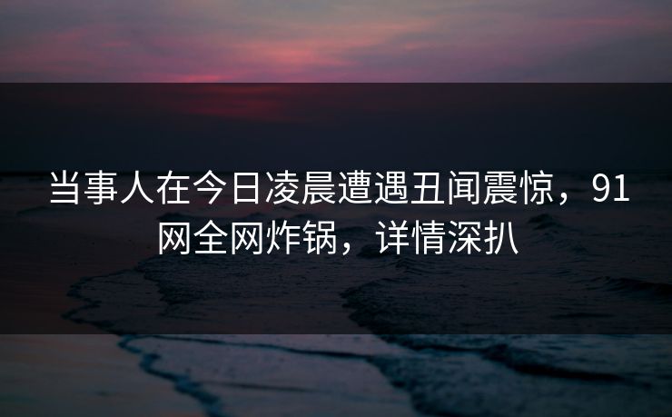 当事人在今日凌晨遭遇丑闻震惊，91网全网炸锅，详情深扒